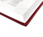 Kalendarz książkowy 2022 Kalendarze książkowe A6-17 (zdjęcie 1)