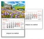 Kalendarz jednodzielny 2019 Polana Chochołowska (zdjęcie 1)