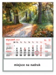 Kalendarz jednodzielny 2021 Las na Mazurach (zdjęcie 1)