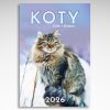 Kalendarz wieloplanszowy Koty (20szt.) - 1 Kalendarz wieloplanszowy Koty