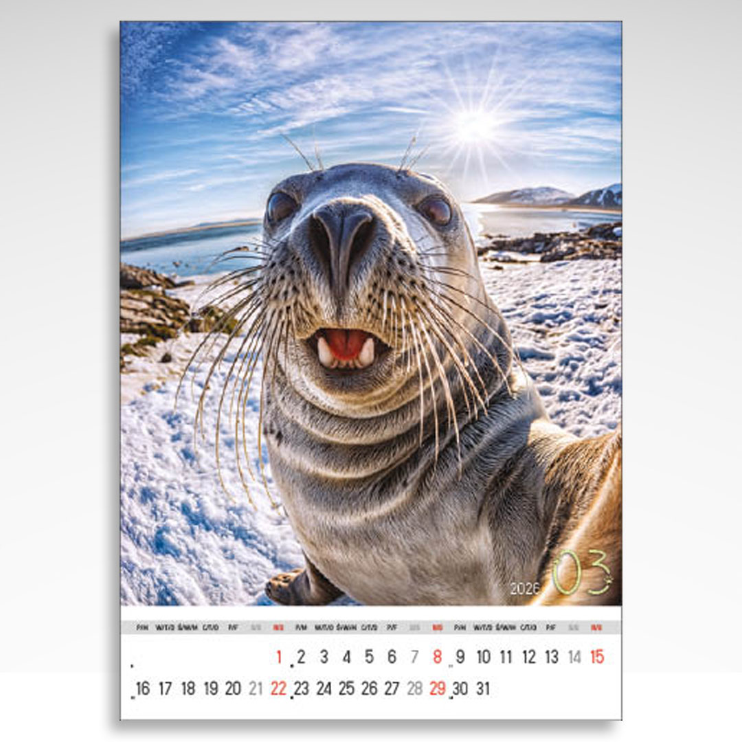 Kalendarz wieloplanszowy Selfie (20szt.) - 13 Kalendarz wieloplanszowy Selfie (20szt.) - obrazek 11