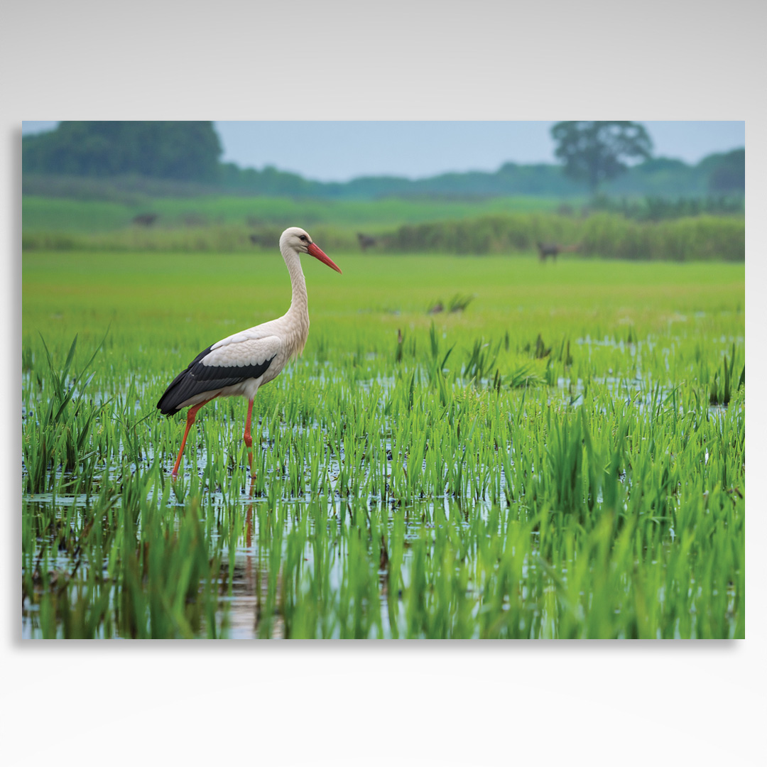 Kalendarz jednodzielny Mazury (20szt.) - 3 Kalendarz jednodzielny Mazury