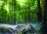 Kalendarz wieloplanszowy 2021 Tajemniczy las (zdjęcie 5)