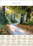 Kalendarz planszowy A1 2024 Poranek w lesie