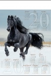 Kalendarz planszowy B1 2021 Koń