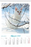 Kalendarz wieloplanszowy 2019 Koty domowe (zdjęcie 4)