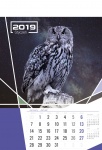 Kalendarz wieloplanszowy 2019 Ptaki (zdjęcie 9)