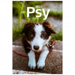 Kalendarz wieloplanszowy 2023 Psy (zdjęcie 10)