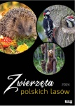 Kalendarz wieloplanszowy na rok 2024 Zwierzęta polskich lasów (zdjęcie 12)