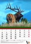Kalendarz wieloplanszowy 2021 Świat polowań (zdjęcie 5)